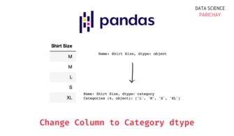 Pandas - Change Column Type to Category - Data Science Parichay