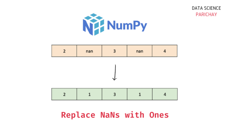 Numpy - Replace All NaN Values with Ones - Data Science Parichay