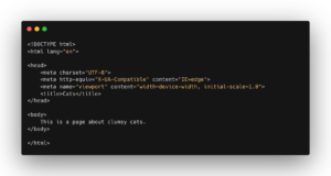 Python - Determine File Type - Data Science Parichay