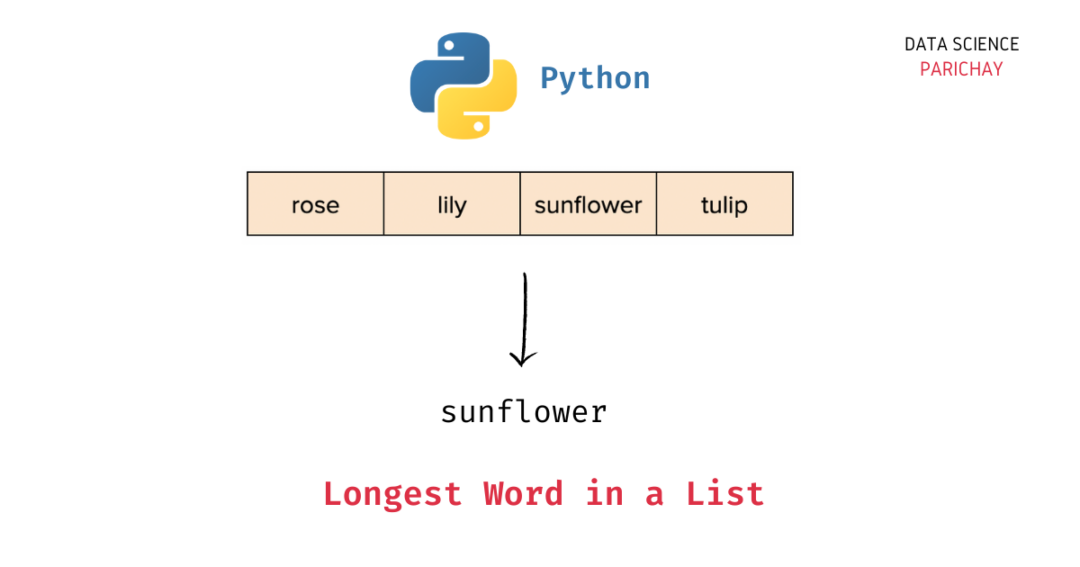 Find the longest word in a List in Python (with examples) - Data ...